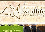 Featured project — Creative Nature web design project